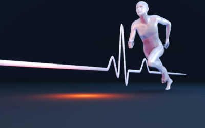 Die maximale Herzfrequenz – ein Einblick in die Forschung