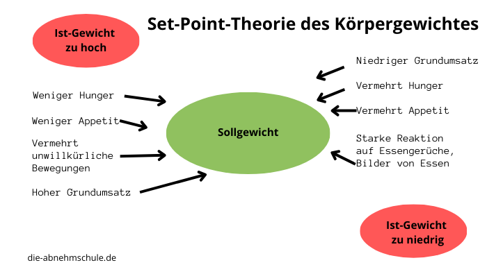 Set-Point-Theorie; Einflussfaktoren, die das Körpergewicht auf das Sollgewicht einregeln