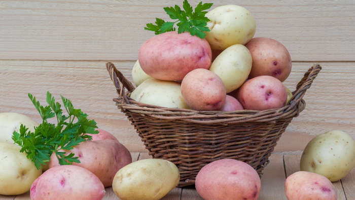 Kartoffeln unterschiedlicher Sorten. Je nach Zubereitung enthalten sie unterschiedlich viel resistente Stärke